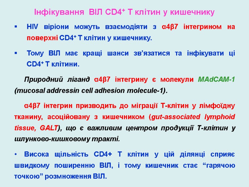 Інфікування  ВІЛ CD4+ T клітин у кишечнику HIV віріони можуть взаємодіяти з α4β7